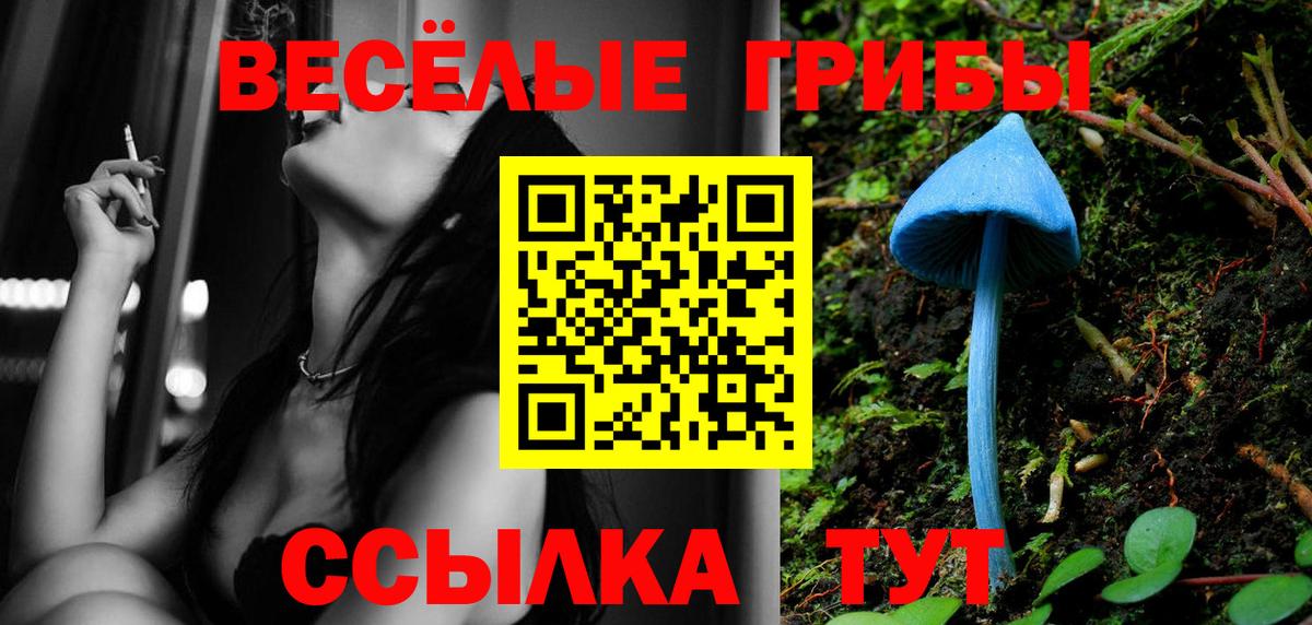 Протвино  Псилоцибиновые грибы прущие грибы  Вход с VPN 